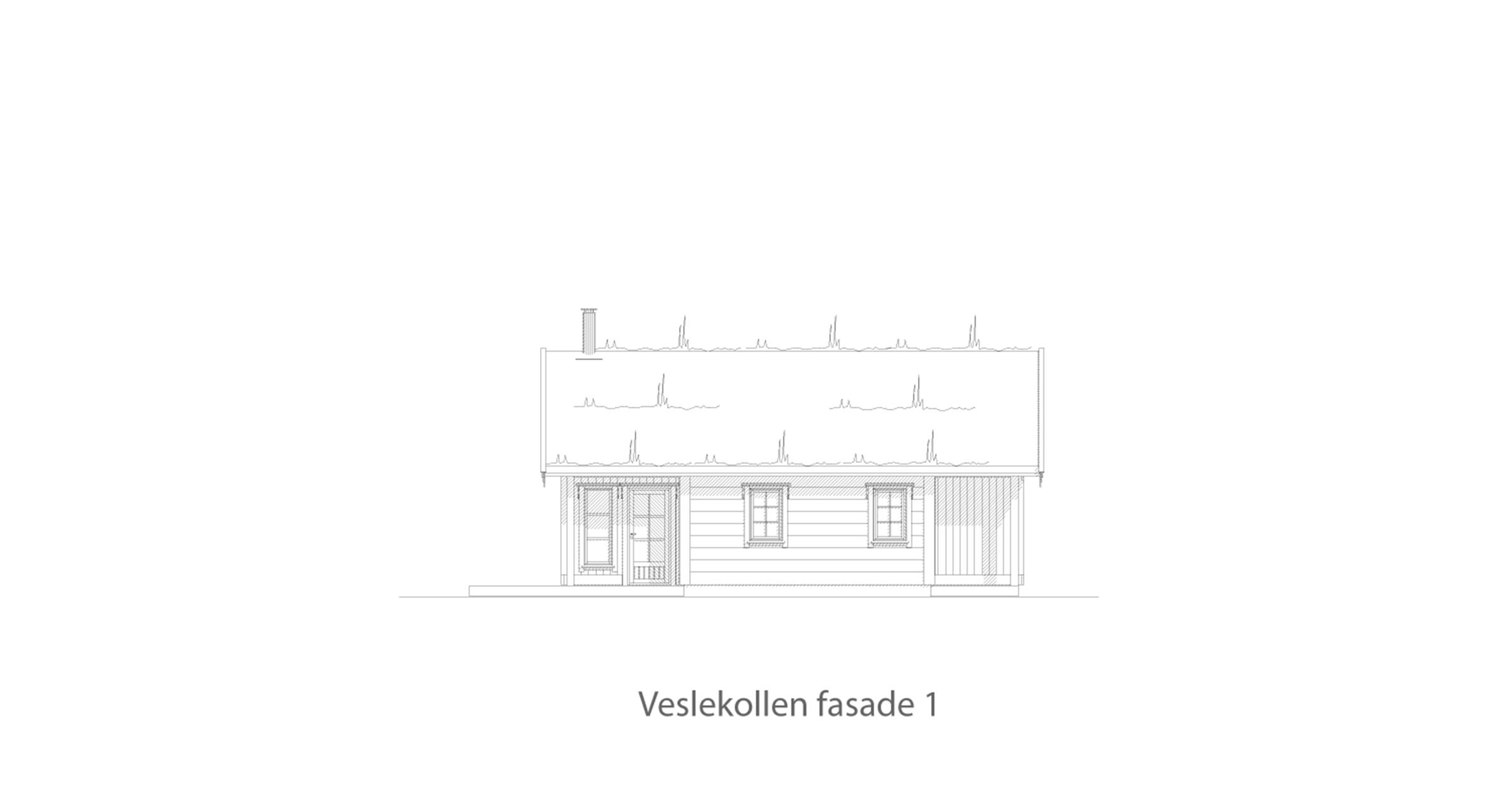 Veslekollen fasade 1